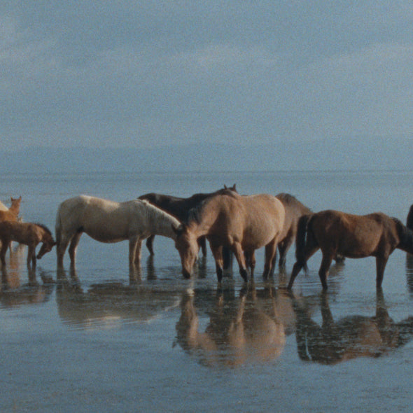 Olivia de Rothschild, Directrice Artistique de Caron 