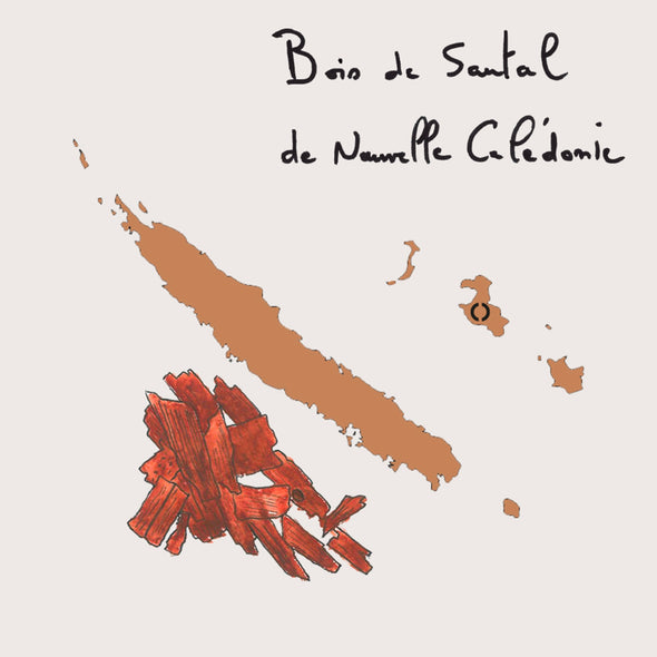 Sandalwood at CARONDiscover sandalwood