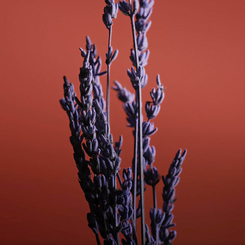 Pour Un Homme de CARON Le Soir - Travel Spray