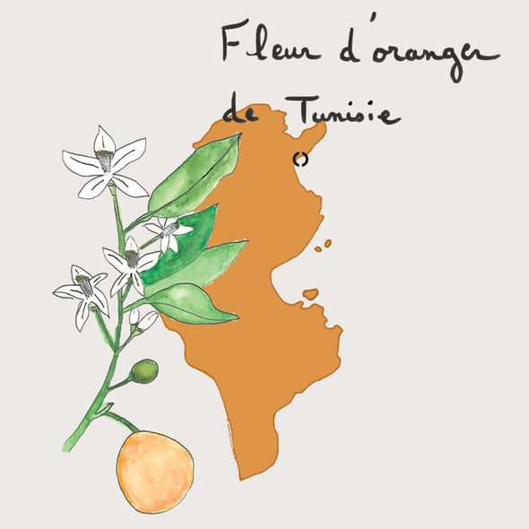 Orange blossom at CARON