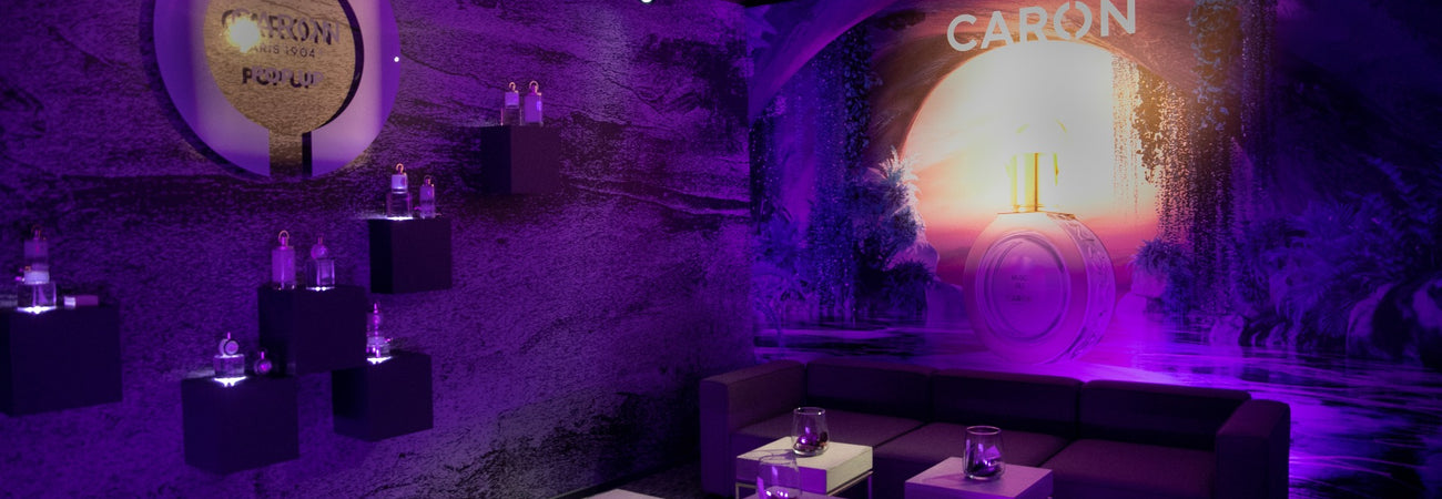 THE MONACO FORMULA 1 GRAND PRIX