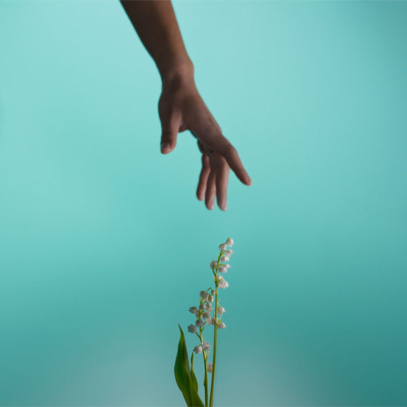 The lily of the valley tradition