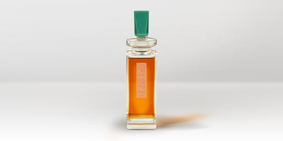 A creative encounter