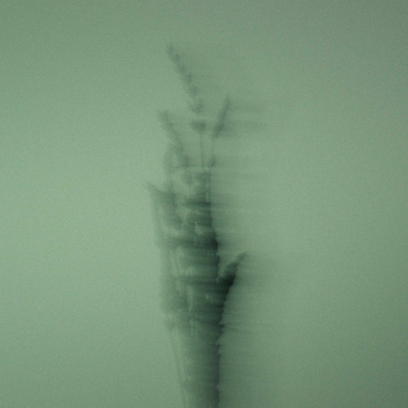  Pour Un Homme de CARON celebrates its lavender creations