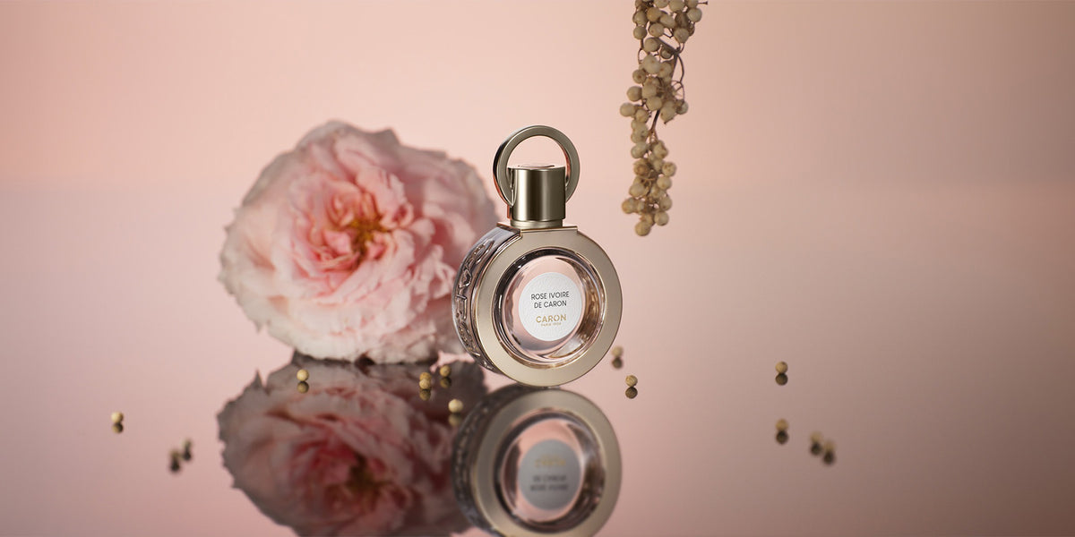 Rose Ivoire De Caron