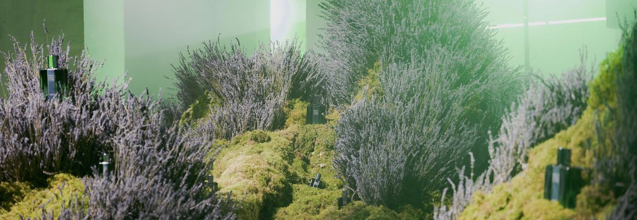 The 90th anniversary of the iconic Pour Un Homme