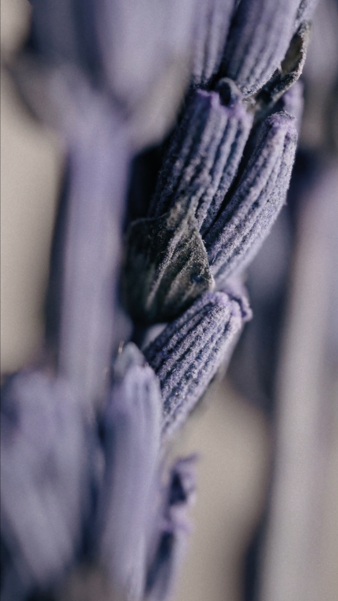 The Trilogy Pour Un Homme de CARON