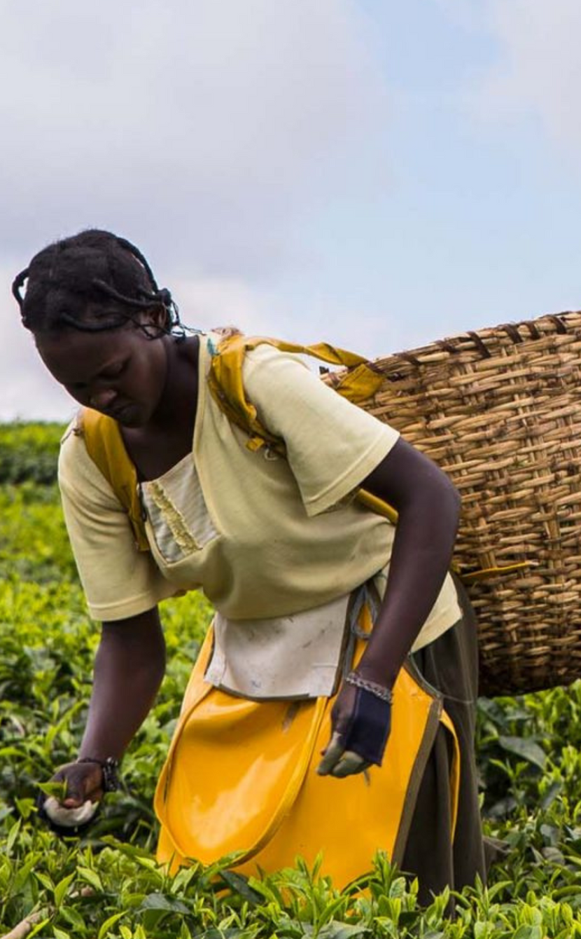 Our certified sustainable suppliers